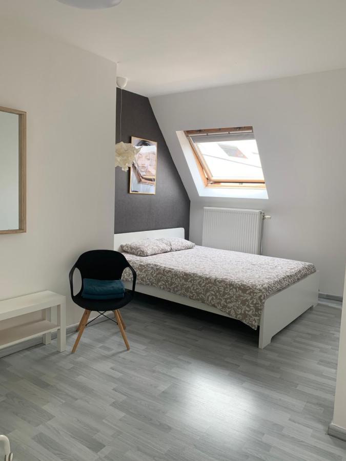 Anna Penthouse Apartment Gent Bagian luar foto