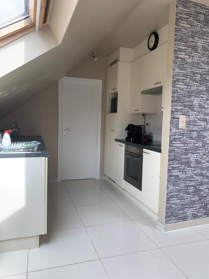 Anna Penthouse Apartment Gent Bagian luar foto