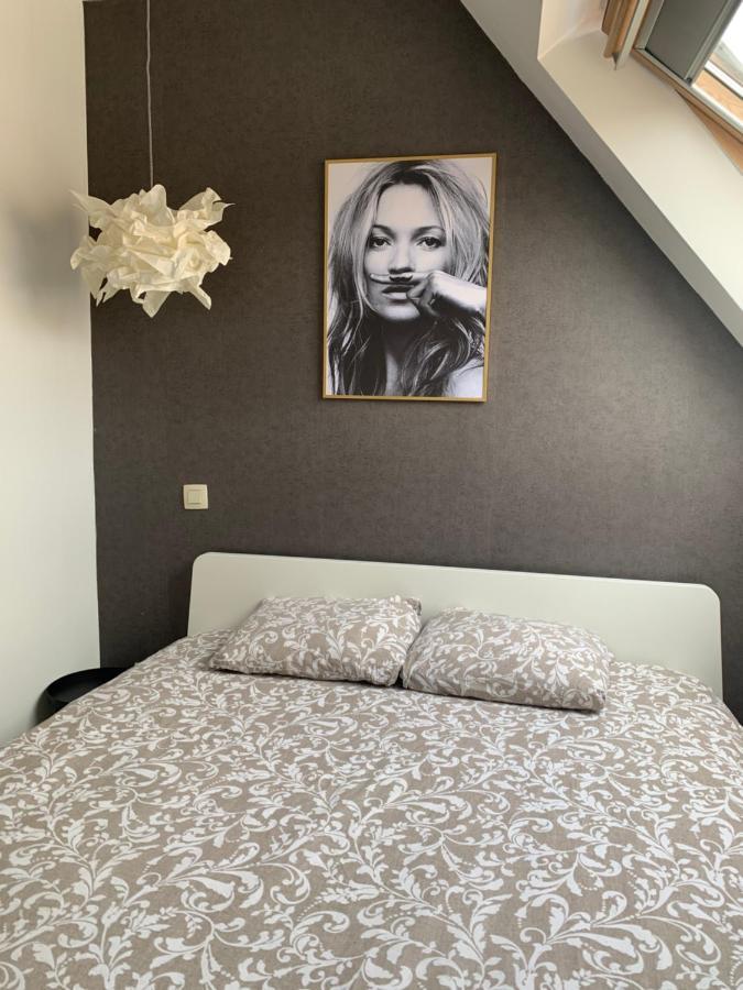Anna Penthouse Apartment Gent Bagian luar foto