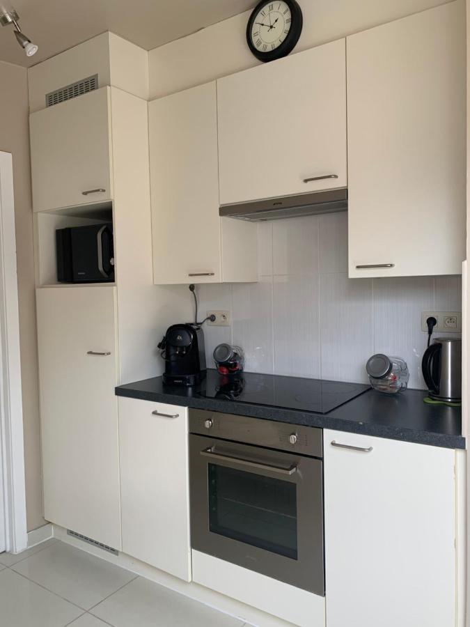 Anna Penthouse Apartment Gent Bagian luar foto